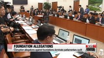Corruption allegations against foundations dominate parliamentary audit