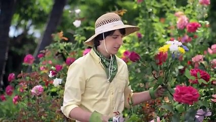 New York Life Insurance Commercial Demetri Martin