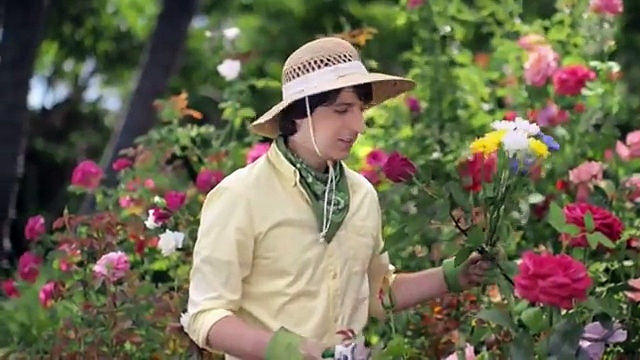 New York Life Insurance Commercial Demetri Martin