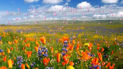 Náš život nás prezrádza