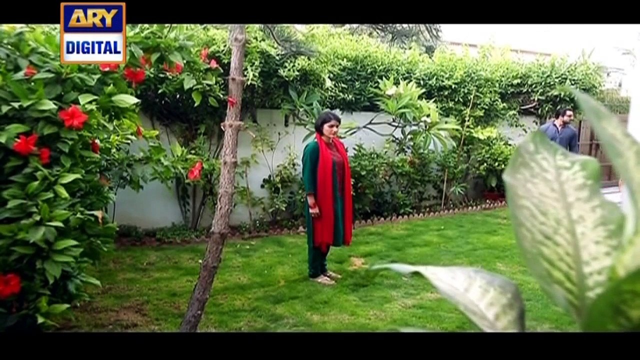 Bandhan Ep 48