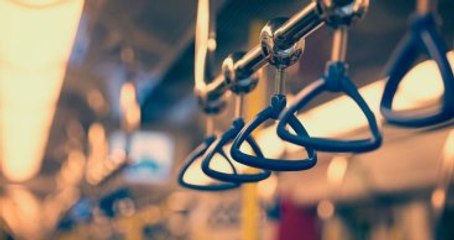 Moskova Metrosunda 9 Köpek Dünyaya Geldi