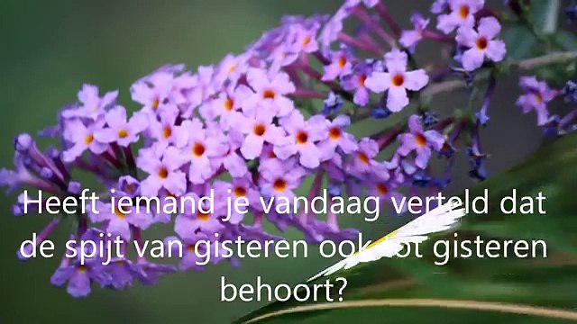 Heeft iemand je vandaag laten weten hoe speciaal jij bent ...-0cHDLF8BBhw-HQ