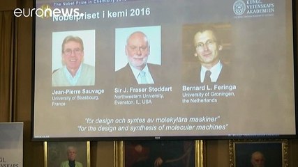 Nobel per la chimica 2016:Jean-Pierre Sauvage, J. Fraser Stoddart e Bernard L. Feringa