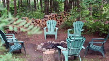 Shahveer Jafry - HOW TO BE friends with a wild deer...