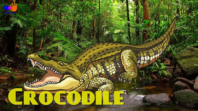 Animals Sounds And Names For Children Kids And Babies _ Learn Wild Animals Names