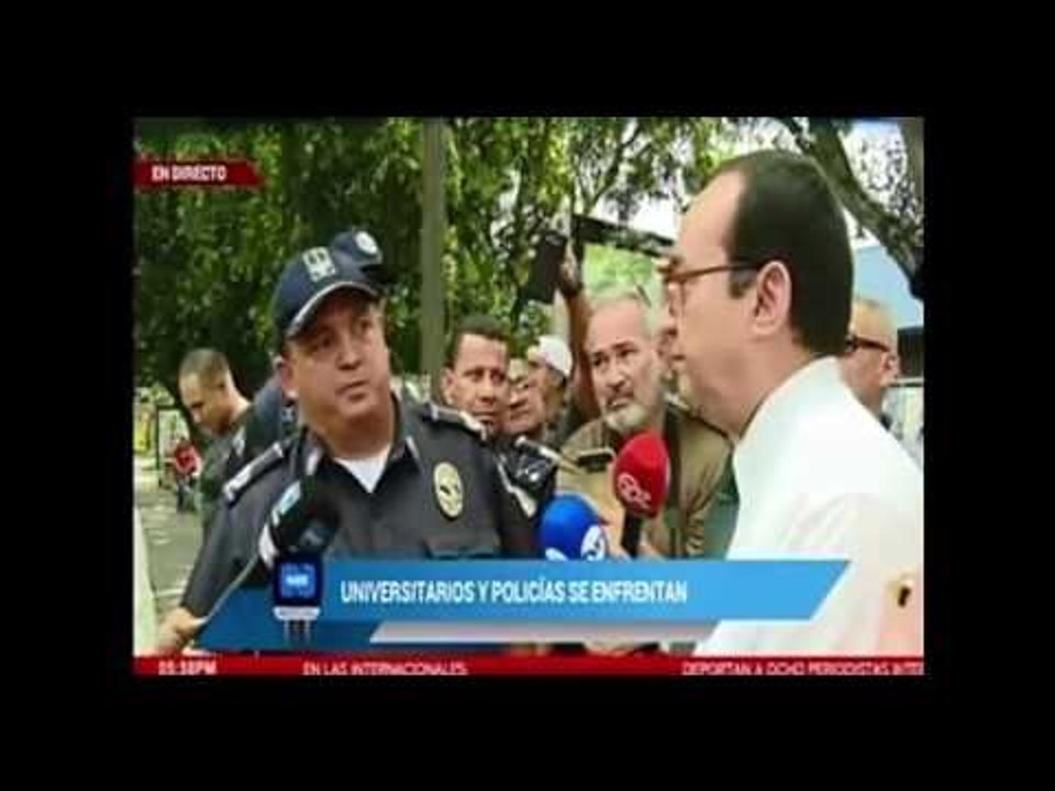 pinzón rofea