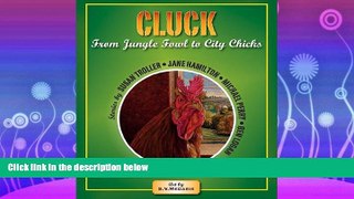 Choose Book Cluck: From Jungle Fowl to City Chicks