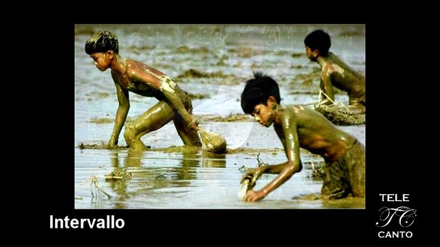 LAVORO MINORILE. Lontano dagli occhi, lontano dal cuore?