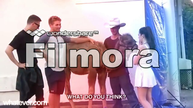 Top 10 Just For Laughs Gags 18 - Funny Video 2016 - Funny Pranks Compilation