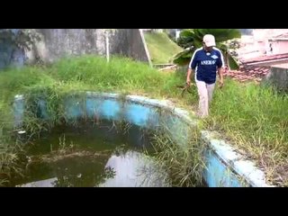 Mosquitos en piscina de Condado del Rey