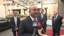 Dışişleri Bakanı Mevlüt Çavuşoğlu