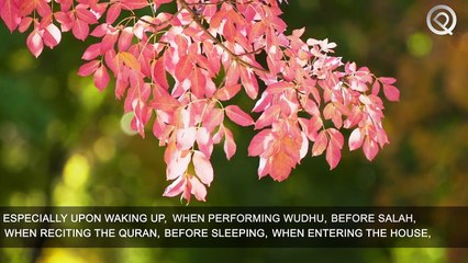 Sunnah of Miswak ... Clean your mouth to get rid of bacteria