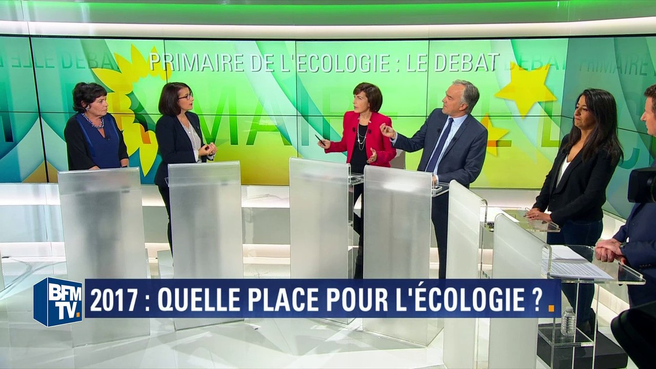 Cécile Duflot: "Le bilan de ce gouvernement" en matière d'écologie, "c'est un gâchis"