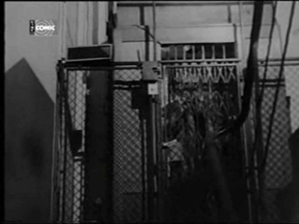 1949 aux deux colombes