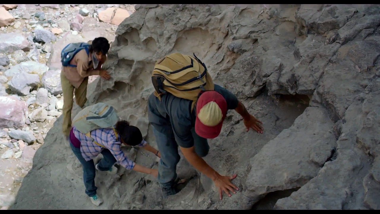 Desierto - Fall