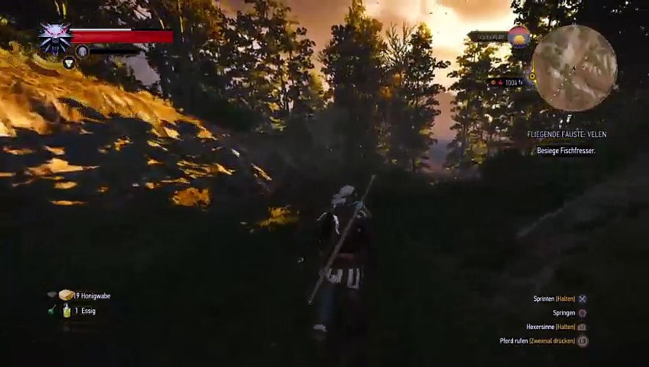 Witcher part 7 (18)