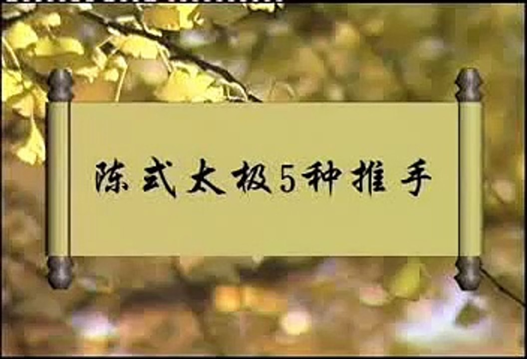 Tai Chi Push Hands