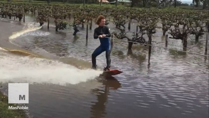Wakeboarder cruises across flooded vineyard in Australia
