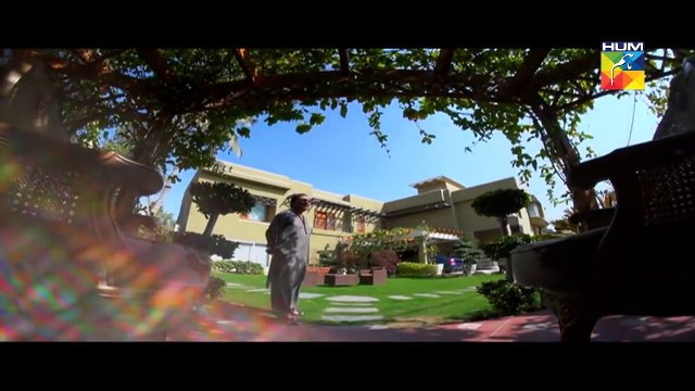 Badguman OST by Beena Khan - Sahir Ali Bagga - Hum Tv New Drama