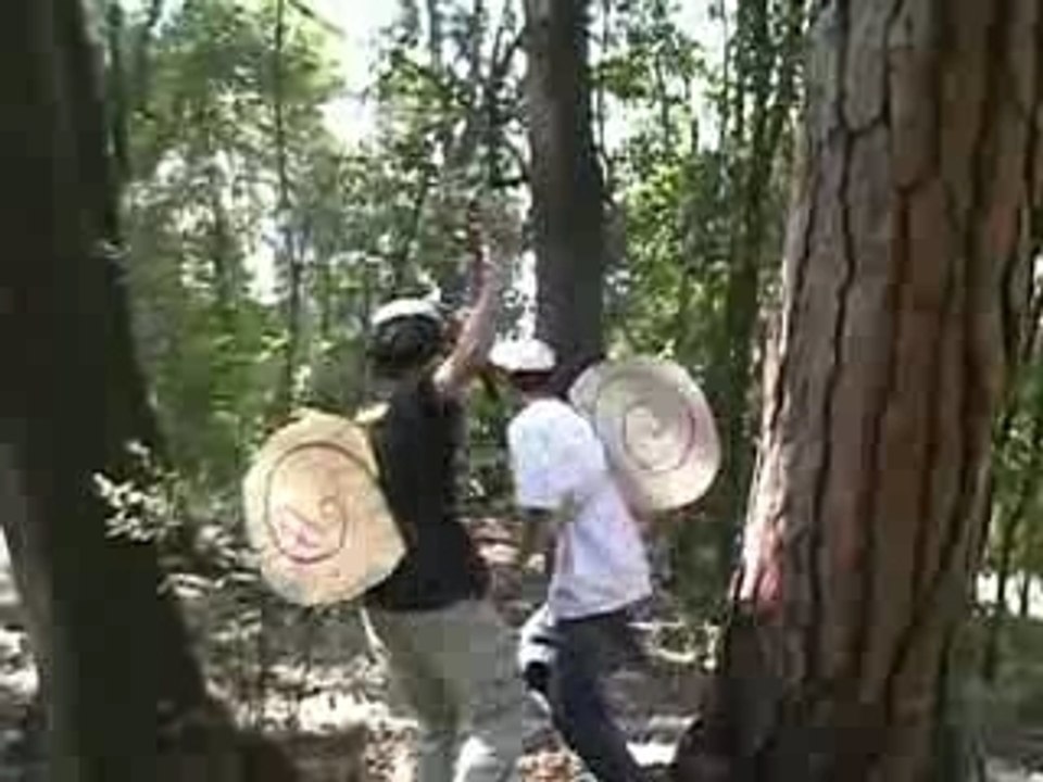 [Association STI PROD] CNRSP