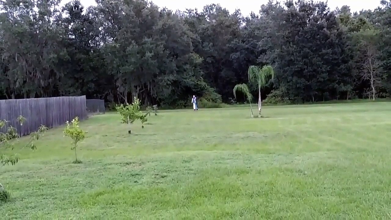 Worried About Those Creepy Clowns? This Won't Make It Better