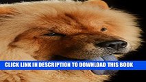 [PDF] Photo Gallery of Chow Chow Popular Colection