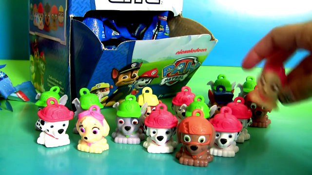 Huge 40 Paw Patrol Micro Lite FULL CASE Collection of Mashems Fashems Toys Chase Rubble Rocky Skye