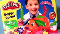 Play-Doh Doggy Doctor Puppy Playset Play Doctor with Puppies Play Dough by Funtoys Collector