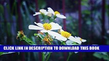[PDF] A Macro Photography of Little Flowers from 41 Mega Pexels Digital Camera (Photo Gallery)