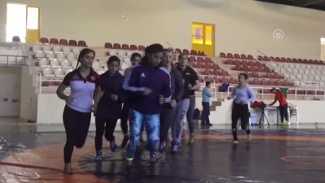 Balkan Genç Bayanlar Güreş Şampiyonası'na Doğru