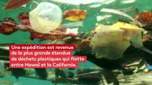 Des déchets de plus en plus gros retrouvés sur le continent de plastique au milieu de l'océan Pacifique