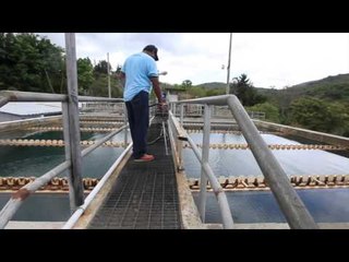 Crisis del agua se agrava, tras el aumento del consumo