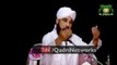 Muhammad Raza Saqib Mustafai _ ’’ لوگ کیا کہیں گے ؟ ‘‘ اور 99 بیماریوں کا آسان علاج