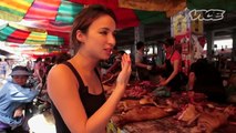 Dog & Cat Meat Festival In China – Say No To Dog Meat!