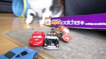 Pixar Cars and Pussy Cats with Lightning McQueen, Stunt Mater, Sally and Sheriff