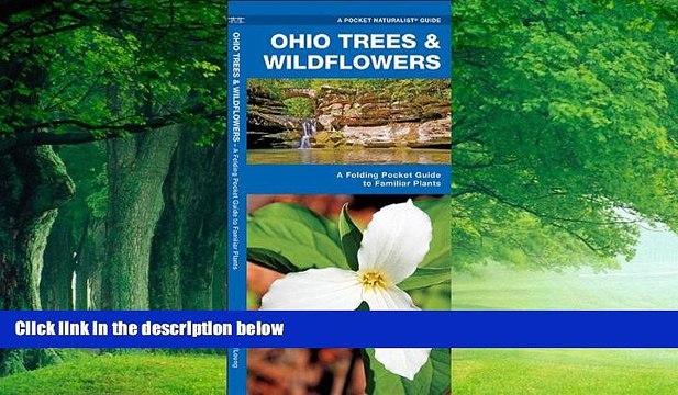 Big Deals Ohio Trees Wildflowers: A Folding Pocket Guide to Familiar Plants (Pocket Naturalist