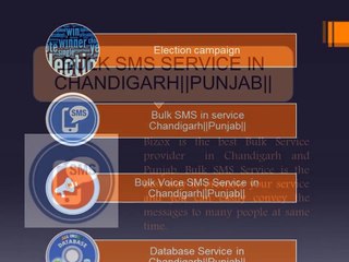 Bulk Voice SMS Service in  Punjab