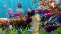 Disney / Pixar - FINDET NEMO 3D - 10 Jahre Findet Nemo