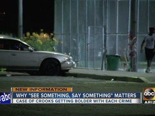Police looking for thieves in Glendale park