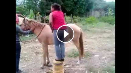 woman horse ridder in action