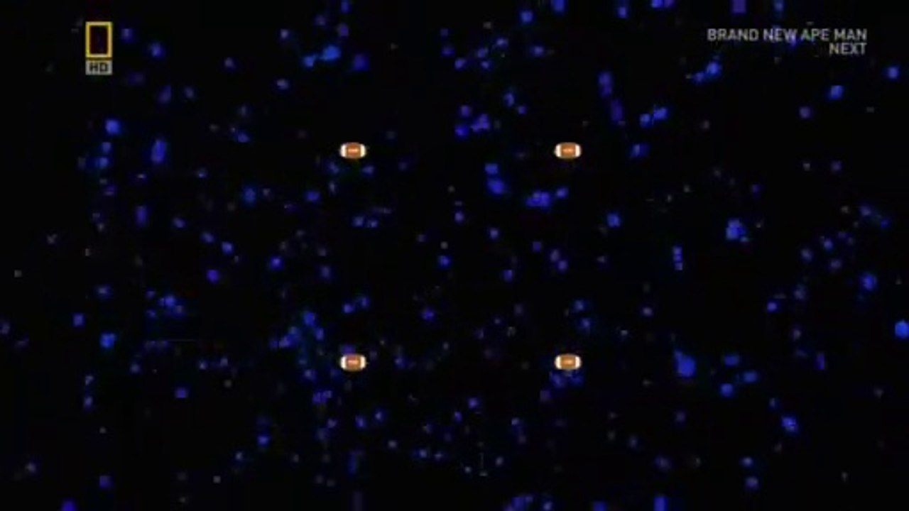 focus brain games