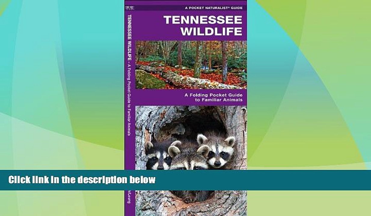 Big Deals  Tennessee Wildlife: A Folding Pocket Guide to Familiar Species (Pocket Naturalist Guide