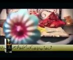 AFREEN KHAN SXY MUJRA PAKISTANI HOT MUJRA DANCE PERFORMANCE - PAKISTANI MUJRA 2016
