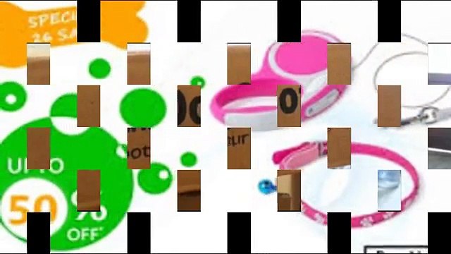 Dog Daycare Encinitas