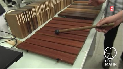 Sciences - La carte d’identité du bois