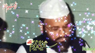 Syed Abdul Majeed Nadeem R.A  at Punjab Colony Karachi - 1986