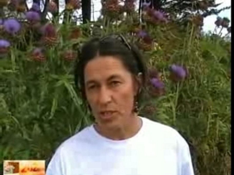 Ecofestival