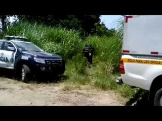 El Pulso - Policía busca aliados para combatir la delincuencia