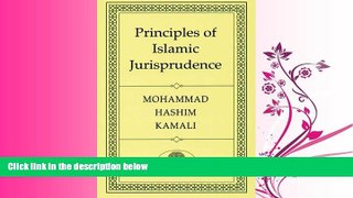 book online  Principles of Islamic Jurisprudence